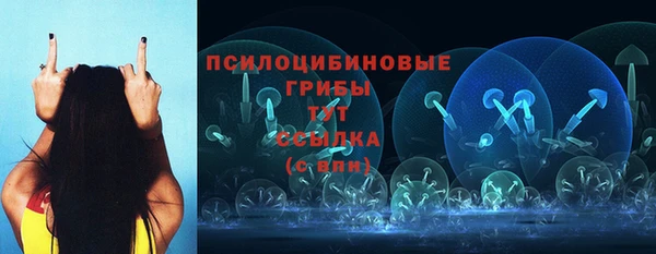 spice Бугульма