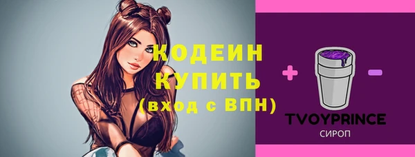 spice Бугульма
